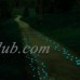 100 Man-made Blue Glow in the Dark Pebbles Stone for Garden Walkway--Making Your Garden or Yard Looks Different from Your Neighbors` at night   